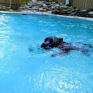 Meet your Posher, Patty